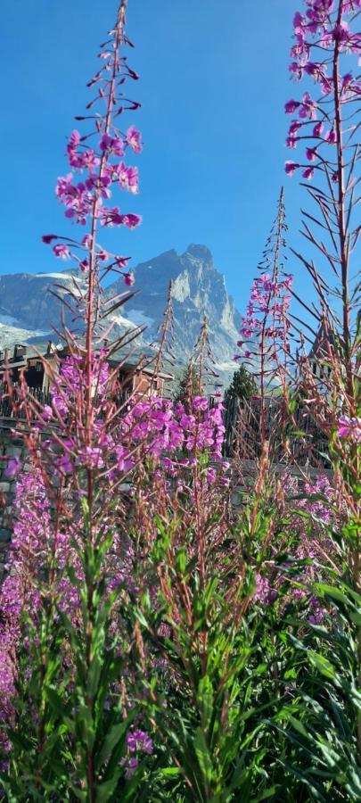 Maison Meynet Mountain Charm Breuil-Cervinia Exterior photo